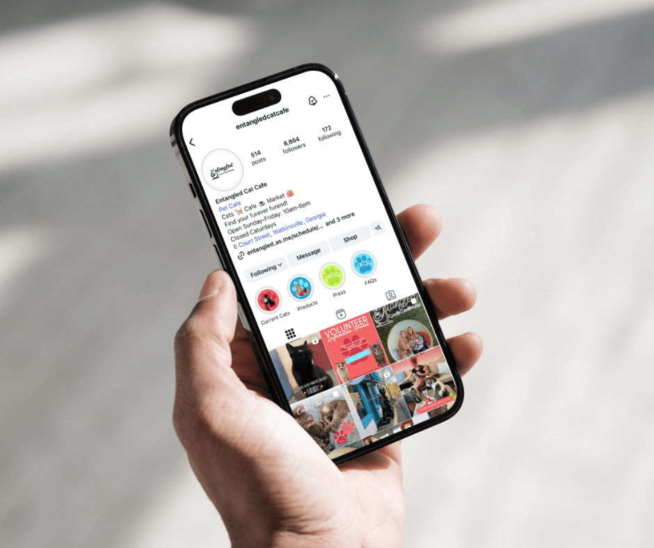 entangled social media